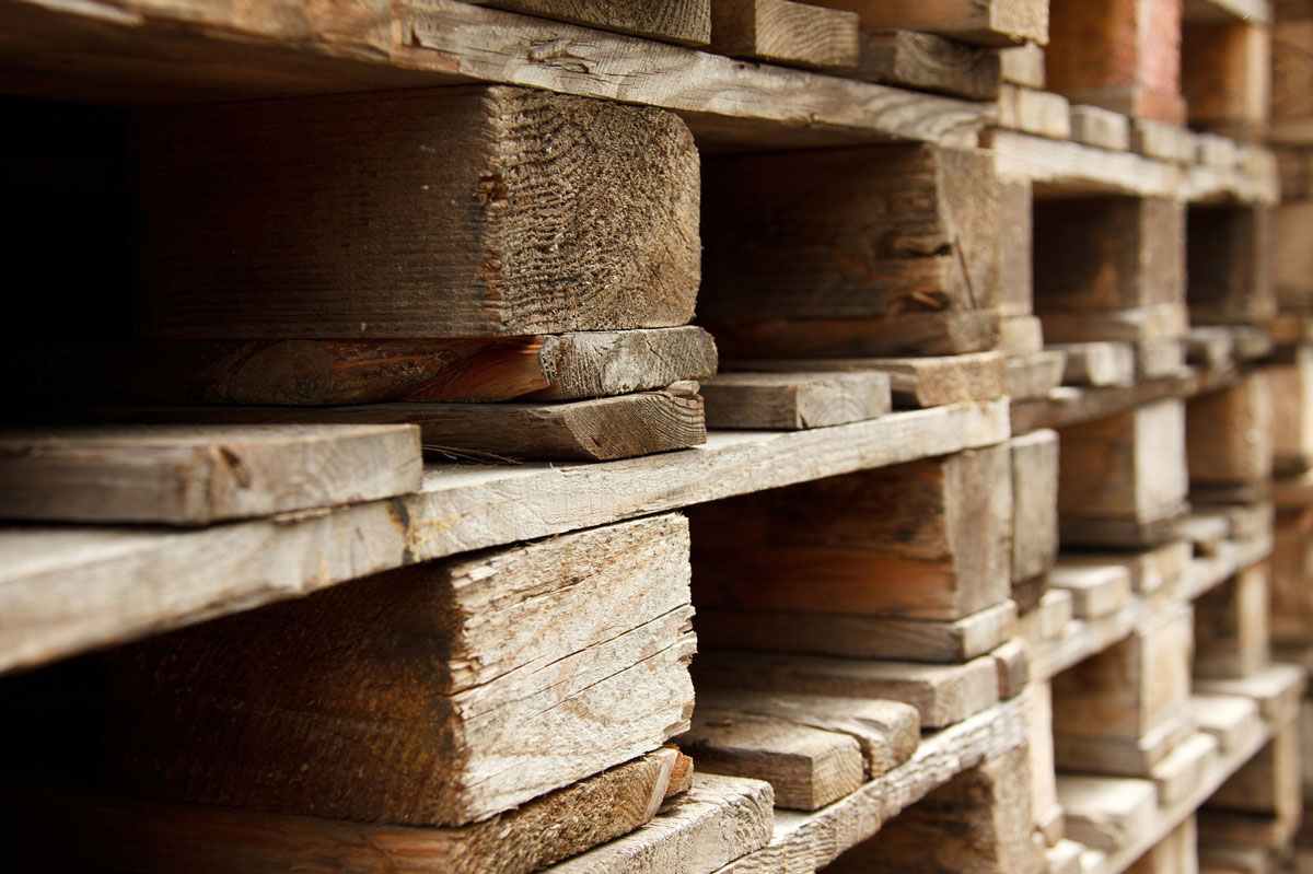 In arrivo un nuovo pallet ecologico